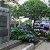 白山市アイキャッチ画像
