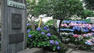 白山市アイキャッチ画像