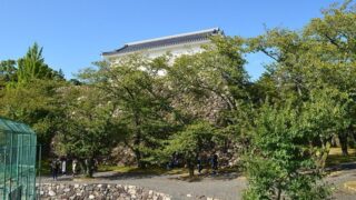 亀山市アイキャッチ画像