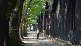 酒田市アイキャッチ画像