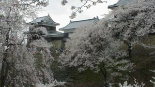 上田市アイキャッチ画像